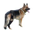 Dog Brace Back Leg