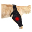 Dog Brace Back Leg