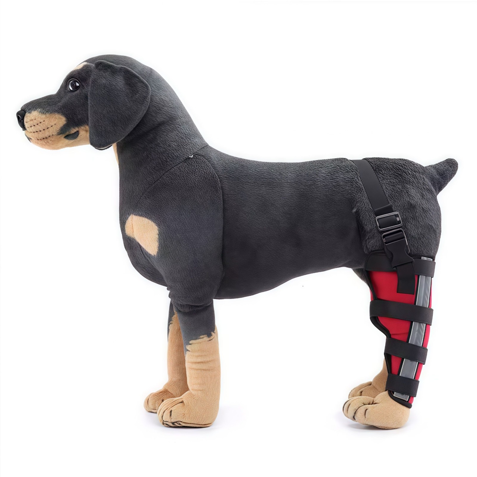 Dog Brace for Arthritis