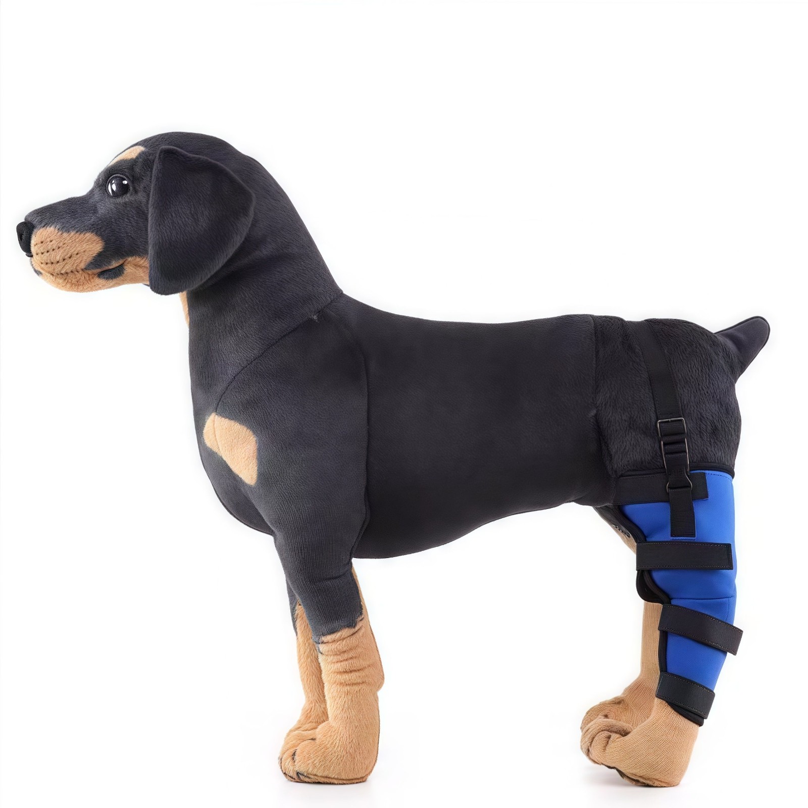 Dog Brace for Arthritis