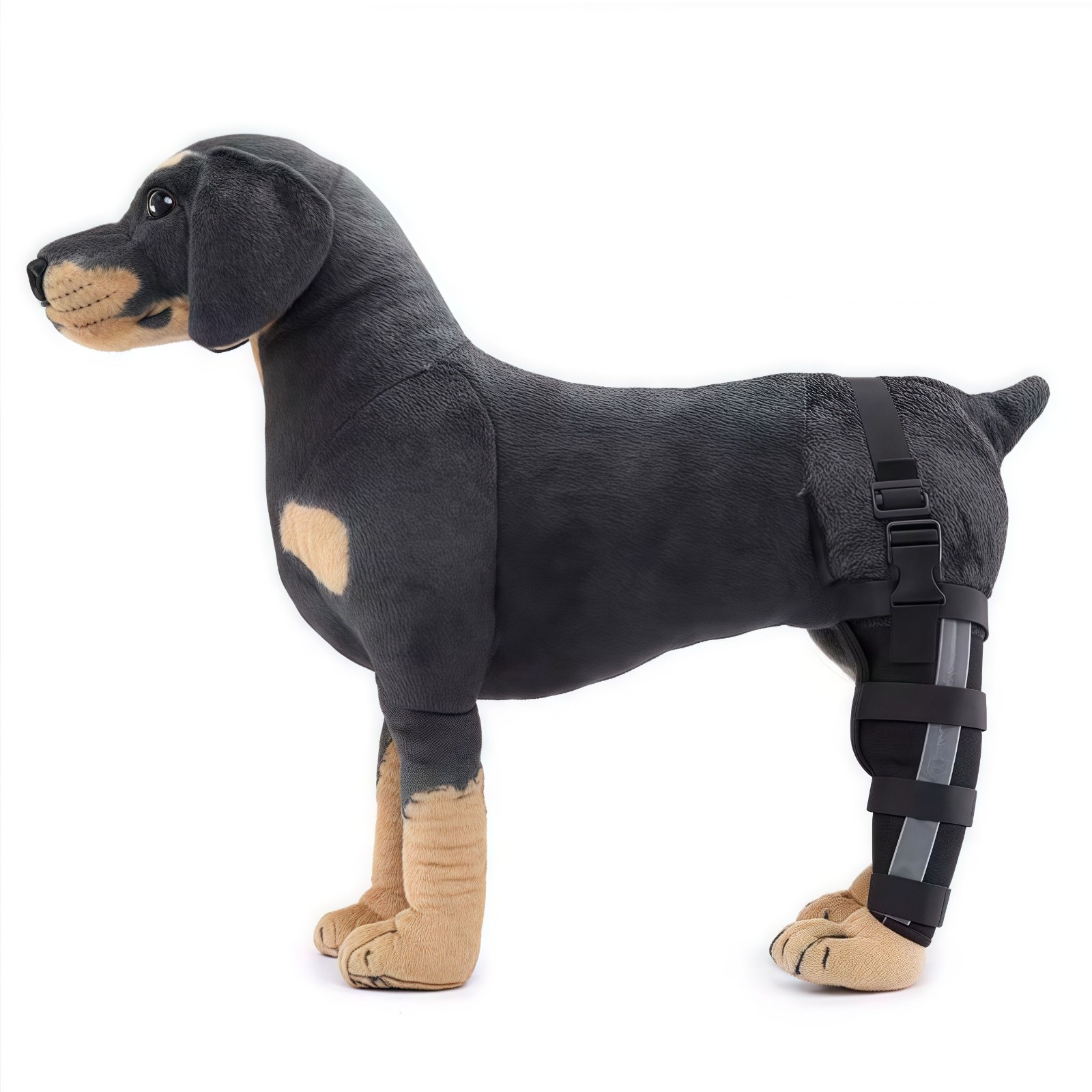 dog back brace for arthritis