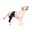 Dog Back Leg Rehabilitation Brace