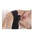 Dog Back Leg Rehabilitation Brace