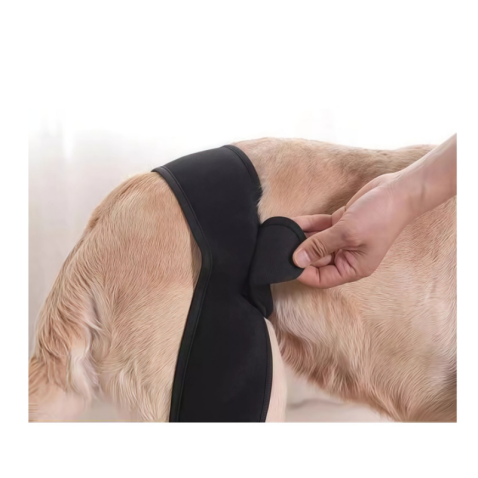 Dog Back Leg Rehabilitation Brace