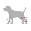 Dog Back Leg Rehabilitation Brace