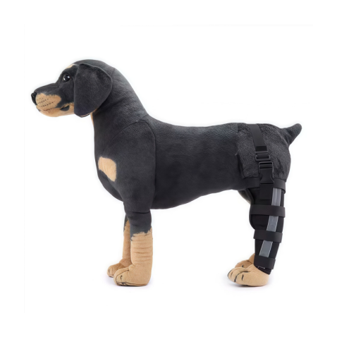 Dog Brace for Arthritis