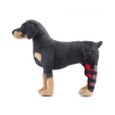 Dog Brace for Arthritis