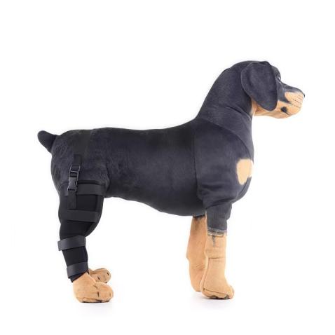 Dog Brace for Arthritis