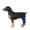 Dog Brace for Arthritis