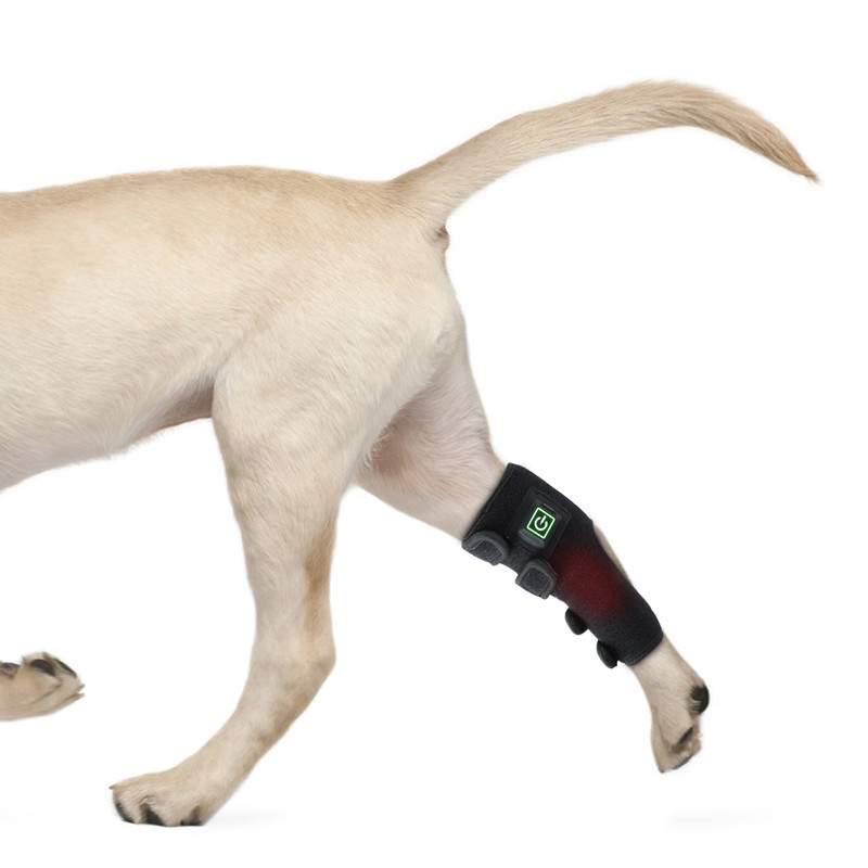 dog elbow brace protector