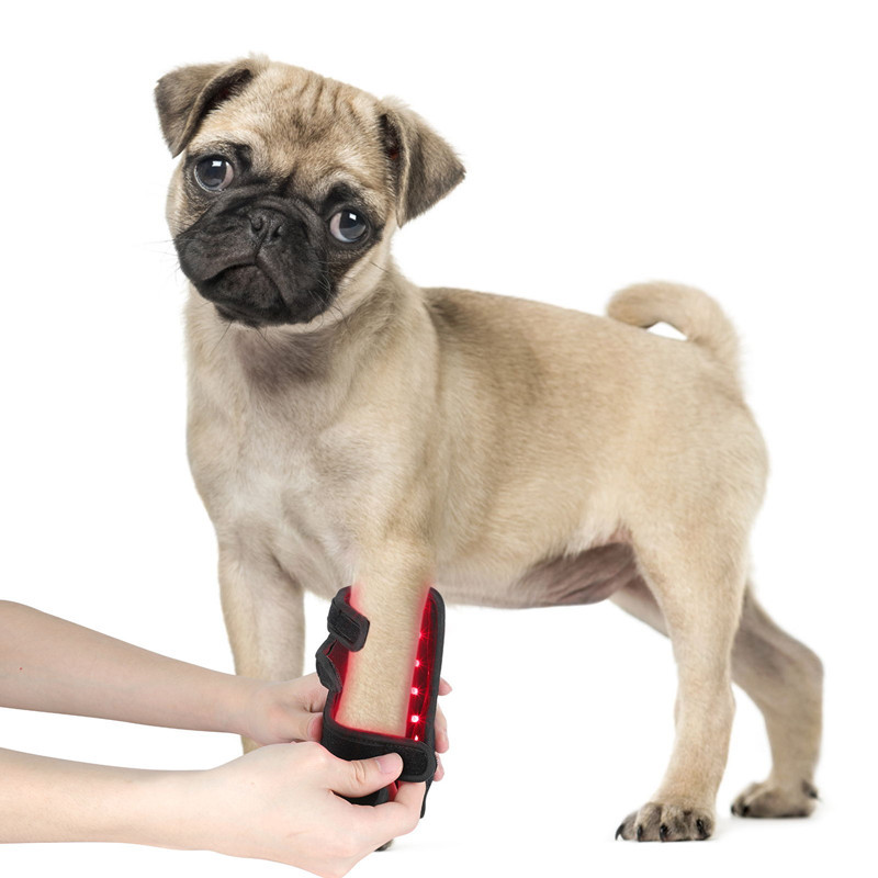 dog elbow brace