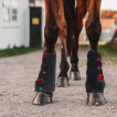 Horse leg brace