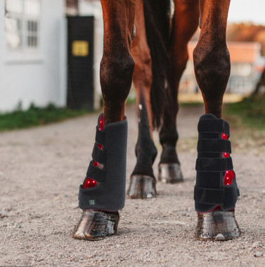 Horse leg brace
