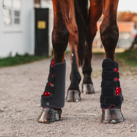 Horse leg brace