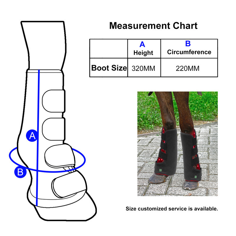 Horse leg brace