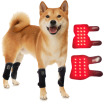 Dog Brace For Leg