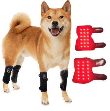 Dog Brace For Leg