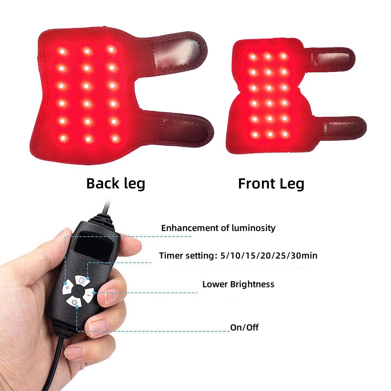 dog brace for back leg