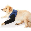 Dog Front Leg Brace