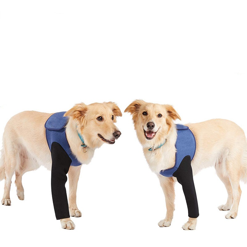 Dog Front Leg Brace