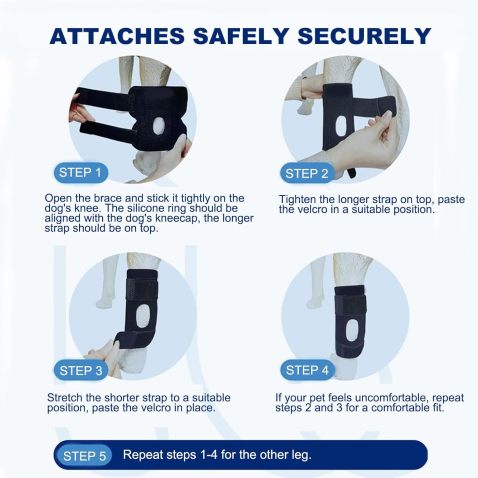 Dog Knee Brace