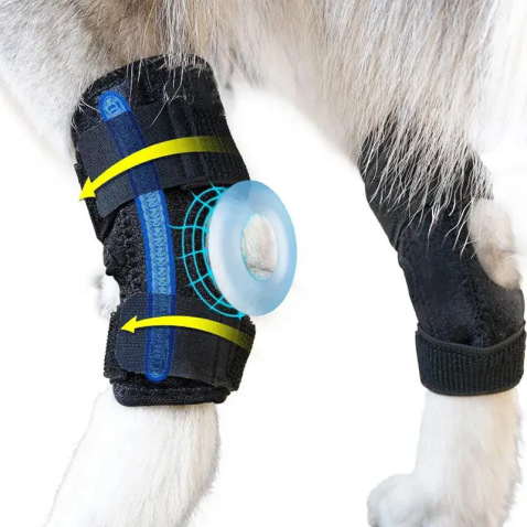 Dog Knee Brace