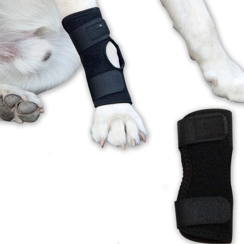 Cat Brace