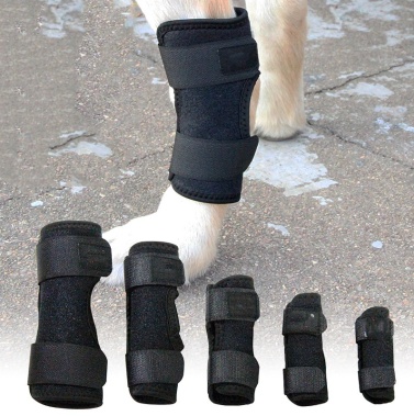 Cat Brace