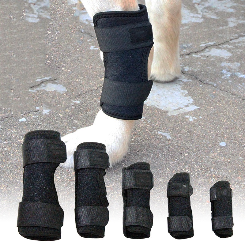 Cat leg Brace