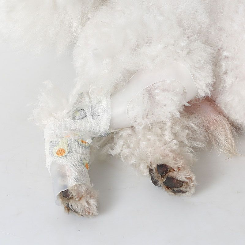 Pet Splint