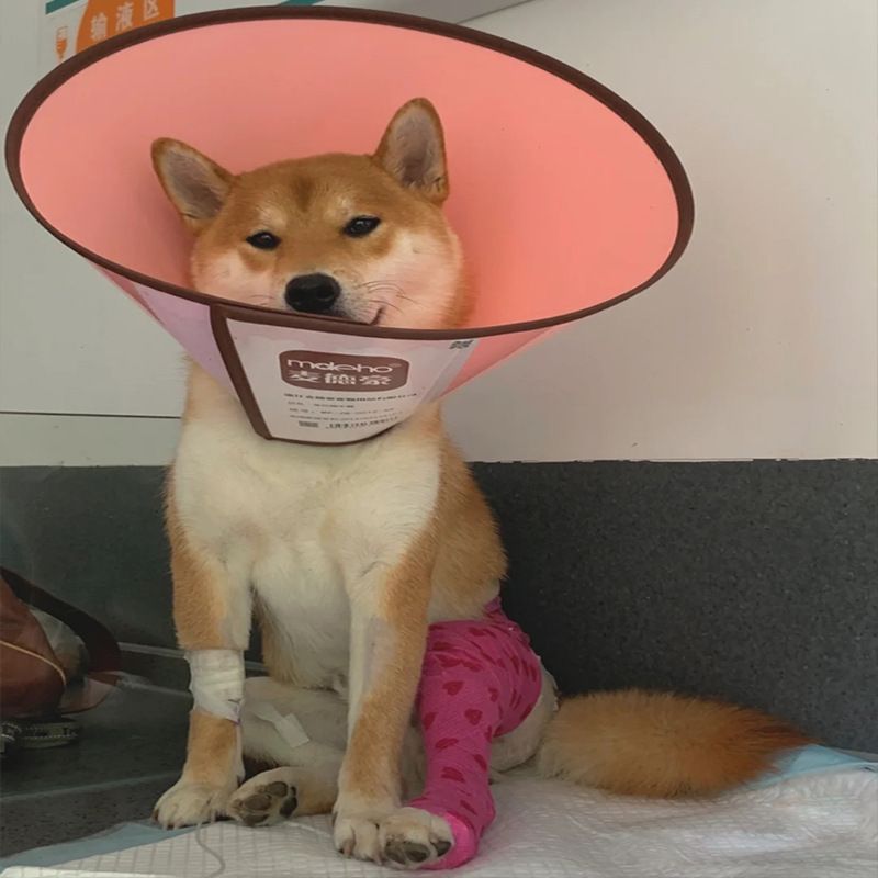 Dog Leg Splint