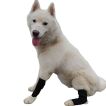 Dog Knee Splint