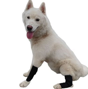 Dog Knee Splint
