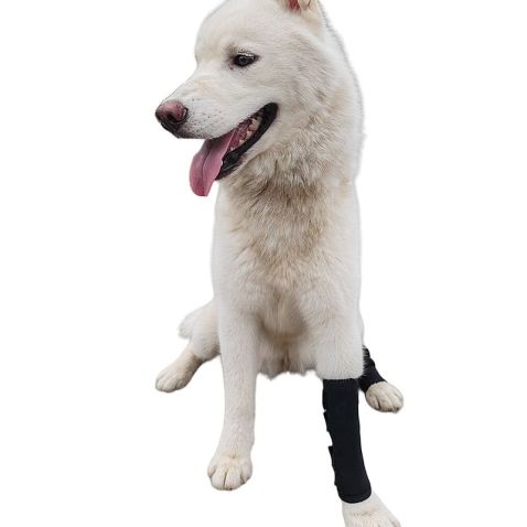 Dog Knee Splint