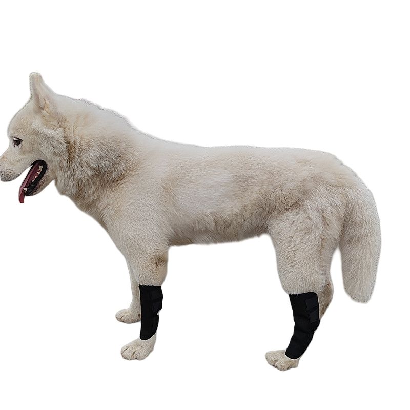 pet knee splint