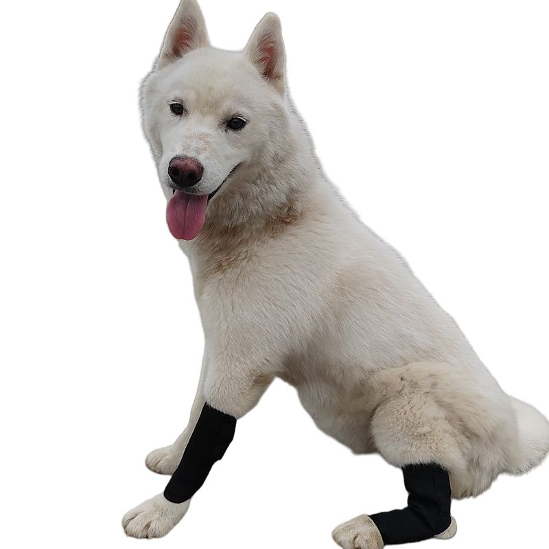 dog knee splint