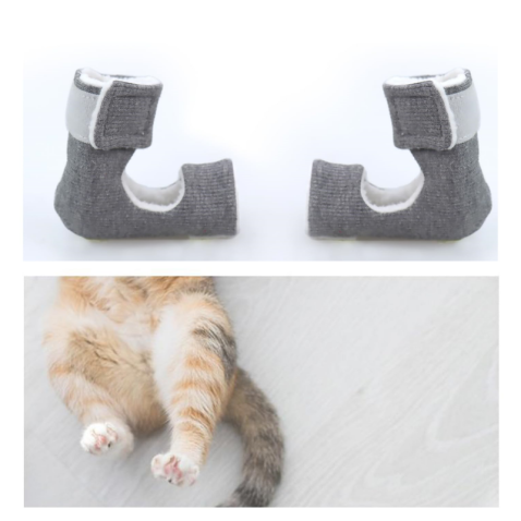 Cat Splint