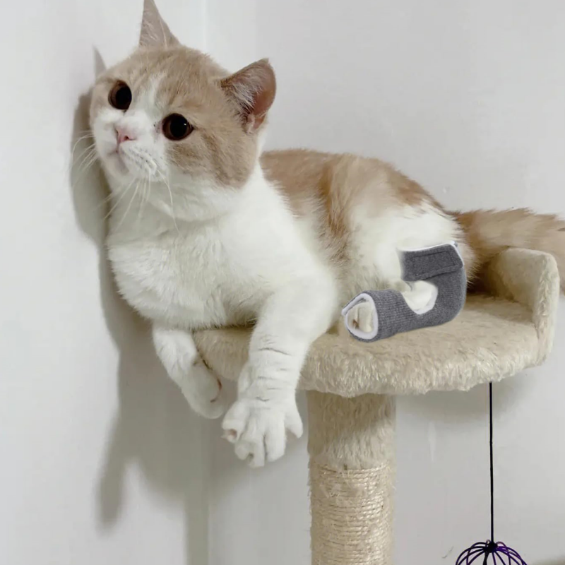 Cat Splint
