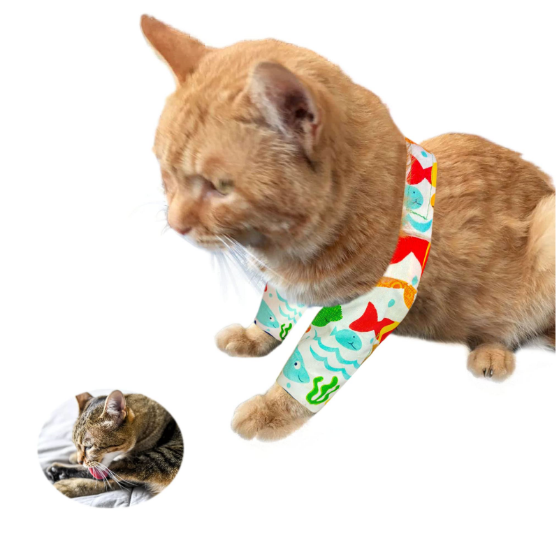 cat ankle splint