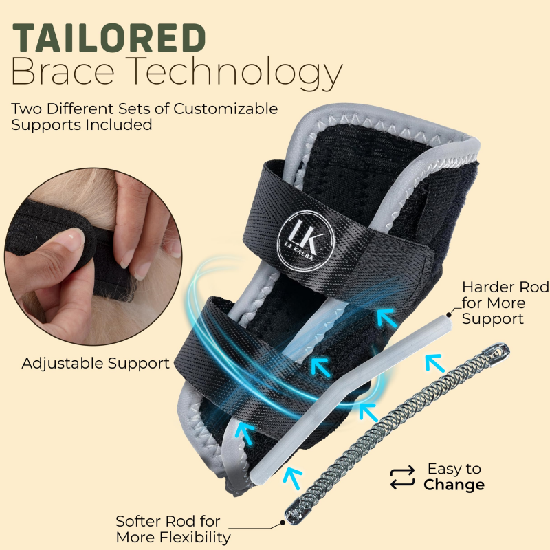 Dog Back Leg Splint