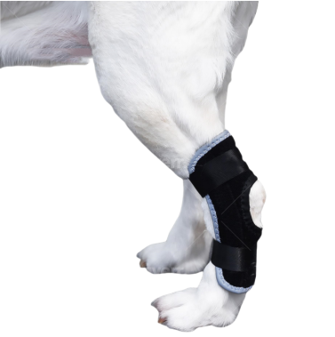 Dog Back Leg Splint