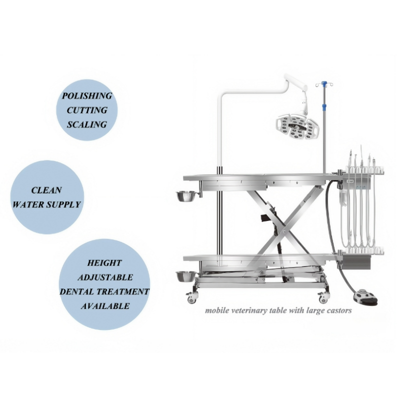 Flat Top Veterinary Surgical Table