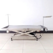 Veterinary Instrument Table