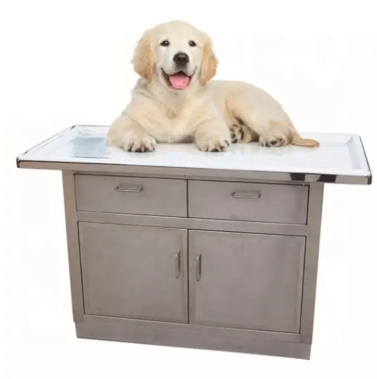 Veterinary Exam Table