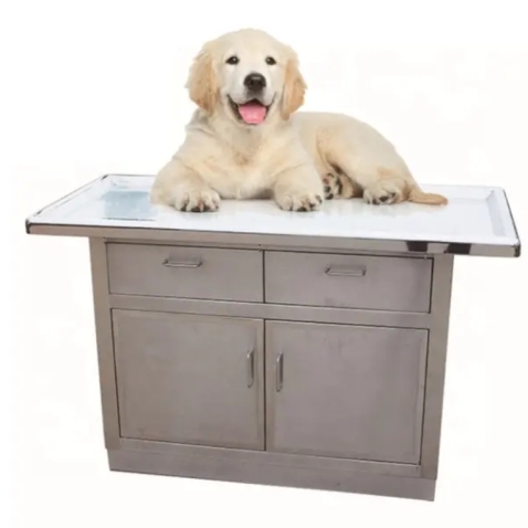 Veterinary Exam Table