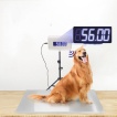 Veterinary Scale