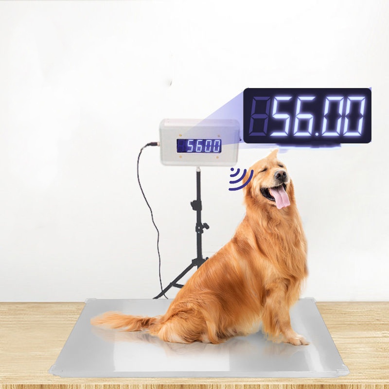 veterinary weigh scale