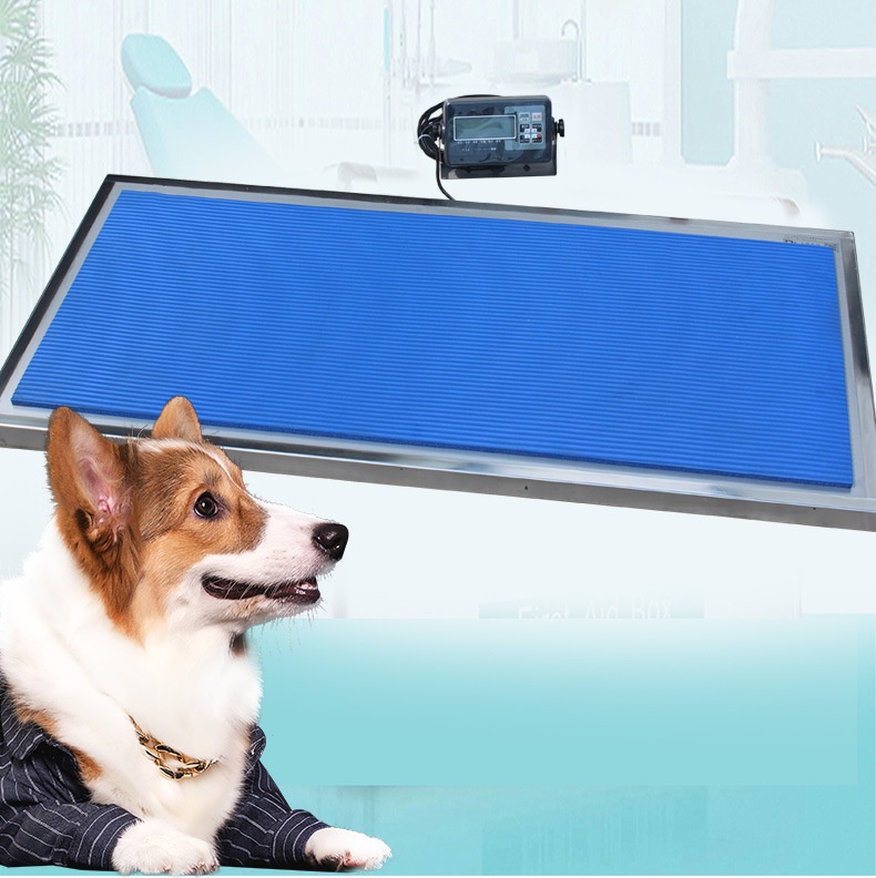 Veterinary Weight Floor Scale