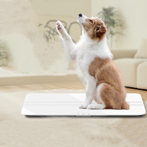 Veterinary Weight Scale