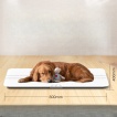 Veterinary Weight Scale
